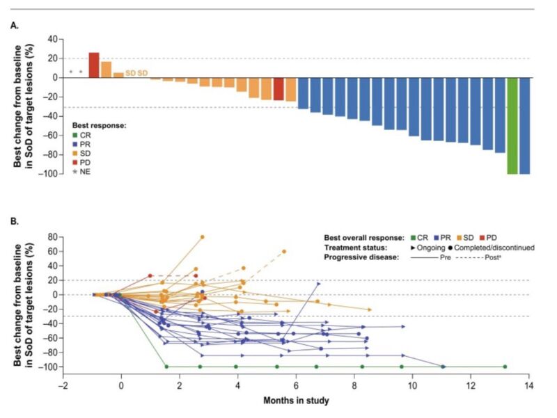 Image for the Tweet beginning: 👇🏼 Encouraging antitumor activity of